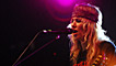 Ladyhawke