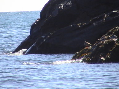 He had no friends, but he didn't care when he had nature