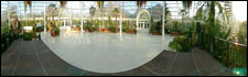 Palm House