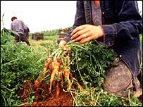 Workers c/o PA Images