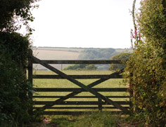gate