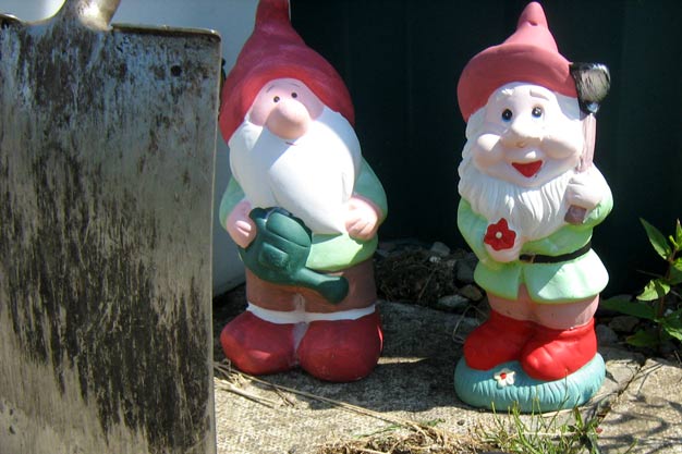Gnomes