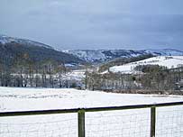 Gigrin Farm in winter (Image c/o Gigrin Farm)