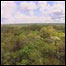 Amazônia