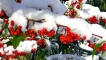 Inbhir Nis san t-sneachda