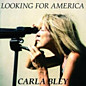 Review of Looking For America