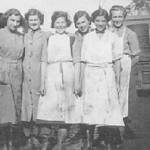 Outside the cook house a former chicken run