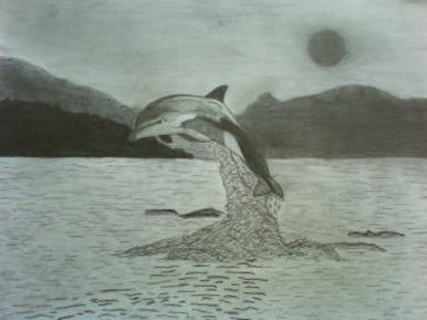 Dolphin