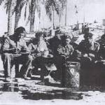 Mealtimes in the desert.