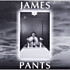 Review of James Pants