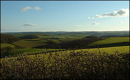 Farmland near Berry Pomeroy
