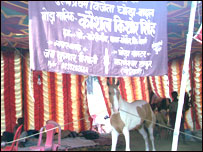 घोड़ा