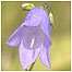Woodlands Index (Image: Flower in woods)