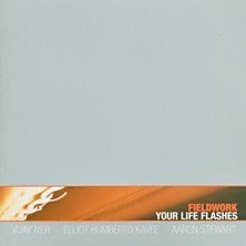 Review of Your Life Flashes