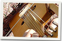 Crwth