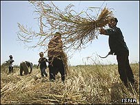 کار