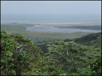 Daintree Rain Forest