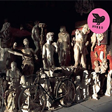 Review of Salmesykkel