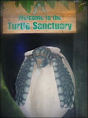 Scarborough Turtle Sanctuary entrance