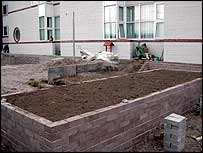 raised bed filled with topsoil