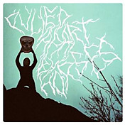 Review of Pulled Apart By Horses Review of Pulled Apart By Horses