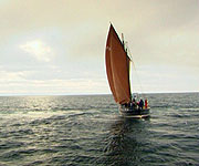 Picture of the Reaper