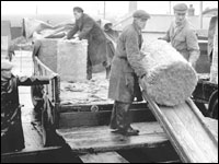 Dockers working in Liverpool