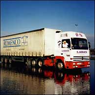 Paddy Laban in Miss World fancy dress