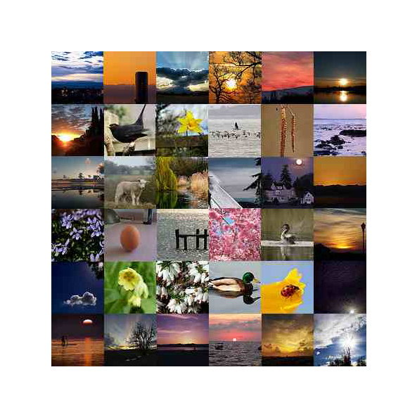 spring equinox photo montage