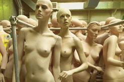 Woman as Design - photograph courtesy of Roger Mavity.