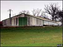 Nông trại nơi tìm thấy H5N1