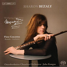 Review of Flute Concertos Review of Flute Concertos