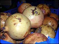 انار 