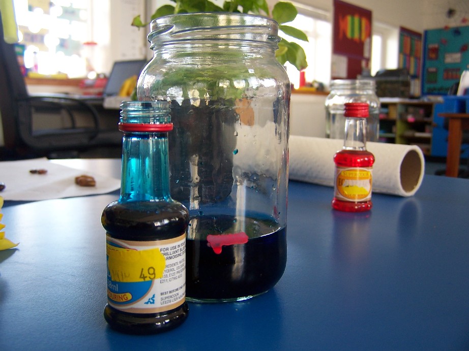 Blue food colouring