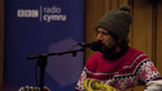 Gruff Rhys