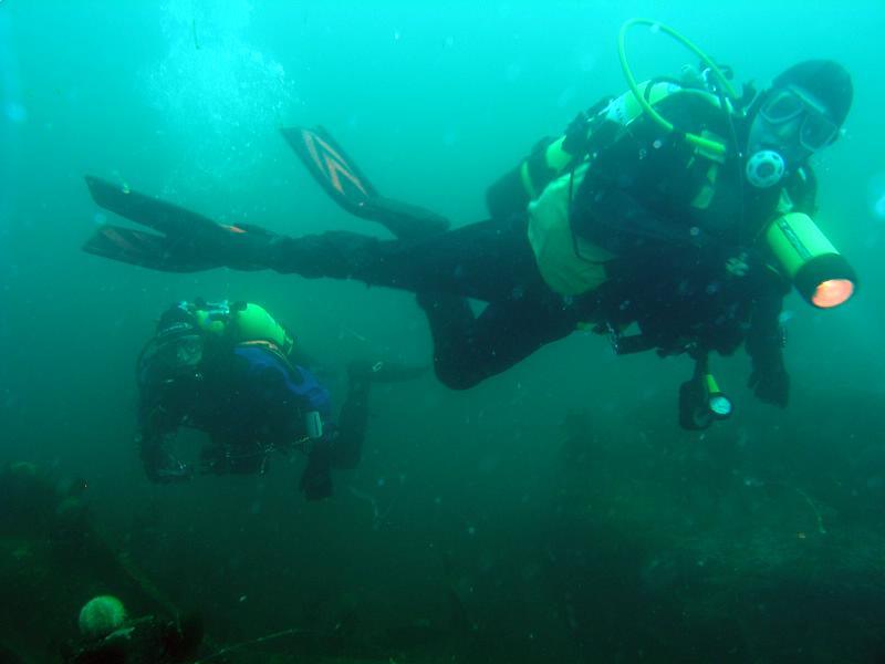 Diver-fish