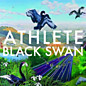 Review of Black Swan Review of Black Swan