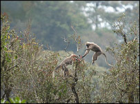سائنسدانوں کے پاس نئی دریافت کے بارے میں ٹھوس شواہد ہیں