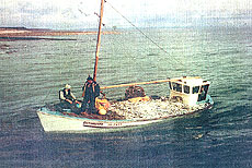 fishing boat at sea