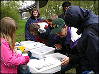 Pond dipping at Markeaton