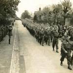 The Home Guard, Wellington