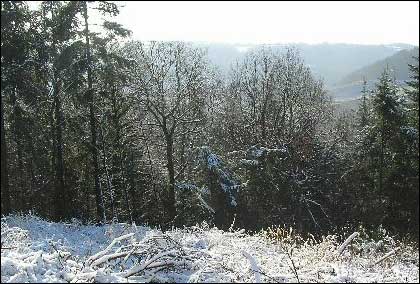 Snowy landscape - picture by Svenski