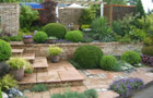 A Garden of Tranquility