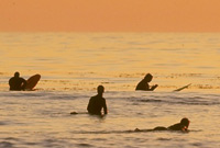 Sunset Lineup - Getty Images