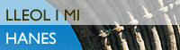 Hanes