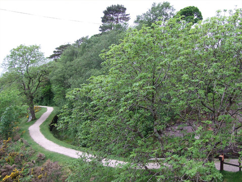 A clearly marked path follows the winding route of a narrow man-made water course through a wooden landscape, with a tree-covered hill behind.