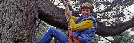 Tree climbing