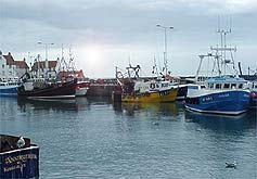 Pittenweem Harbour