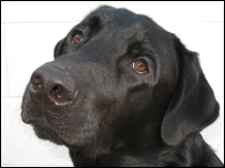 And it's goodbye from Moby...