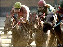Corrida de cavalos